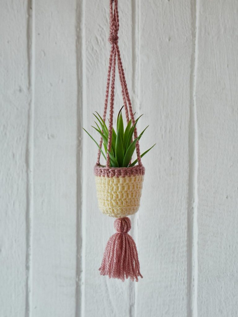 Learn how to Crochet a Plant Hanger