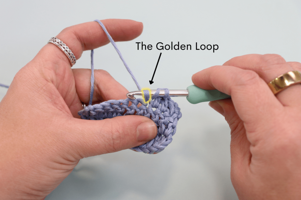 An image highlighting the golden loop