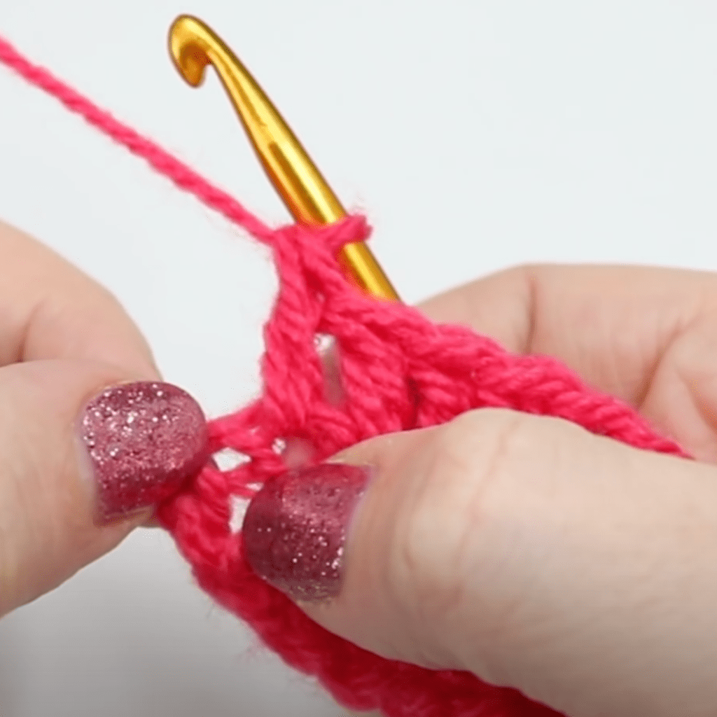 Finding the last stitch to insert your hook into.