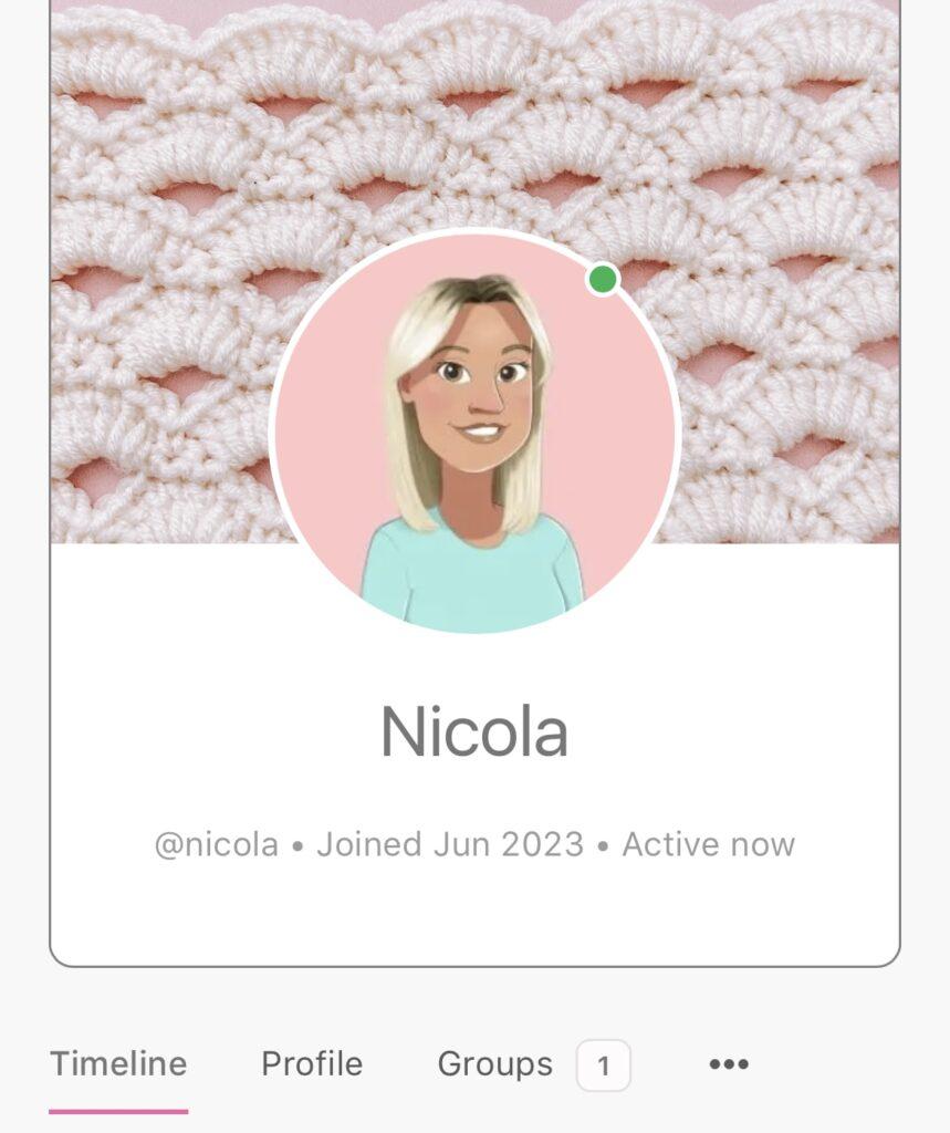 Screen shot of online profile in the crochet community. An online monthly membership.